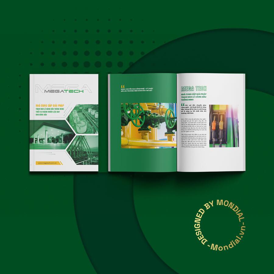 thiết kế profile thương hiệu